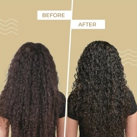 Ashba Botanics Flaxseed Curling Custard For Wavy, Curly, Frizzy & Coily Hair | Argan, Avacado Oil, Shea Butter | Provides Moisture, Controls Frizz, Strong Hold | Phthalates & Parabens Free (gm, 50)