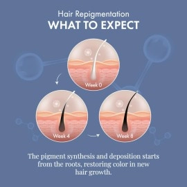 ThriveCo Anti-Grey Hair Prime Serum | Reverses & Limits Hair Greying | Arcolys + Biotin + Black Tea Extract | Light-Weight, Non-Sticky & Odourless | For Men and Women | 30 Ml