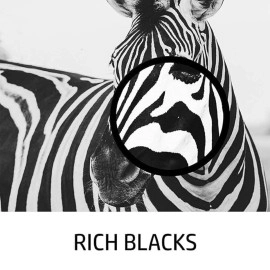 KOSH 008 Black Refill Ink for Epson L6460/L6490/L6550/L6570/L6580/L11160/L15150/L15160 Printer (Pack of 2)