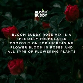 BLOOMBUDDY Bloom Buddy Rose Mix 1 KG | Organic Flower Fertilizer for Vibrant Blooms | Increased Flowers | Essential Nutrients | For Healthy Plants & Long-Lasting Results | Beautiful Gardens