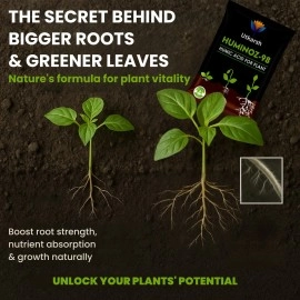 Utkarsh Huminoz-98 Humic Acid (98%) for Plants | Fertilizer for Potted Plants, Home Garden, Growth Enhancer, Soil Conditioner, Improves Root System | (Set of 1; 250 gm)