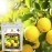 Sovata Lemon Fruit Food, Powerful Organic Fertilizer for fast growth and heavy flowering of Lemon Plants. (400 gm)