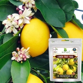 Sovata Lemon Fruit Food, Powerful Organic Fertilizer for fast growth and heavy flowering of Lemon Plants. (400 gm)