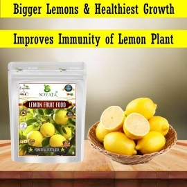 Sovata Lemon Fruit Food, Powerful Organic Fertilizer for fast growth and heavy flowering of Lemon Plants. (400 gm)