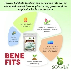 Sovata Ferrous Sulphate, Powerful Essentail Organic Fertilizer For Overall Healthy And Fast Growth Of All Plants. (200 Gm), Powder Form