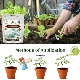 Sovata Ferrous Sulphate, Powerful Essentail Organic Fertilizer For Overall Healthy And Fast Growth Of All Plants. (200 Gm), Powder Form