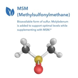 Allergy Research Group - MSM 500 mg - Methylsulfonylmethane, Joint Health - 150 Vegetarian Capsules