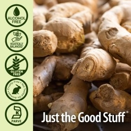 Nature\'s Answer Alcohol-Free Bitters with Ginger, 2-Fluid Ounces