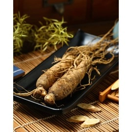 Herb Pharm Asian (Panax) Ginseng Liquid Glycerite for Energy and Stamina, Alcohol-Free Glycerite, 1 Ounce