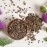 Frontier Co-op Organic Whole Milk Thistle Seed 1lb