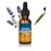 Herb Pharm Certified Organic Lavender Flower Liquid Extract for Calming Nervous System Support, 1 Fl Oz