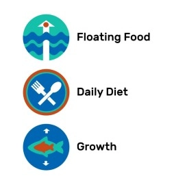 Hikari Cichlid Staple (Large, 250g)