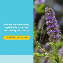 Natural Factors Vitex 80 mg Vegetarian 90 Capsules