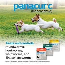 Panacur Canine Dewormer - 1g