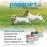 Panacur Canine Dewormer - 1g