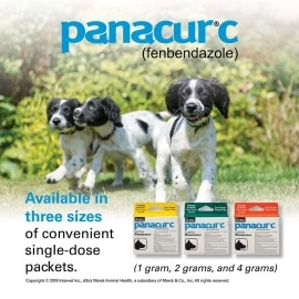 Panacur Canine Dewormer - 1g