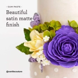 Satin Ice - White Gum Paste, Vanilla,2 Pound