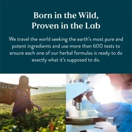 Nature\'s Sunshine Master Gland 120 Capsules