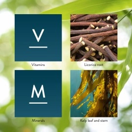 Nature\'s Sunshine Master Gland 120 Capsules