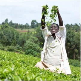 PG Tips Tasty Decaf 70 Pyramid Tea Bags