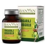 Banyan Botanicals Yogaraj Guggulu - USDA Organic - 90 Tablets - Ayurvedic Herbs for Pain in The Muscles, Nerves & Joints*