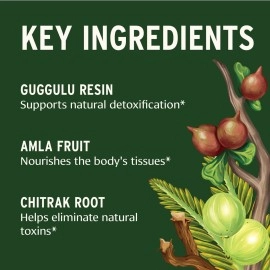 Banyan Botanicals Yogaraj Guggulu - USDA Organic - 90 Tablets - Ayurvedic Herbs for Pain in The Muscles, Nerves & Joints*