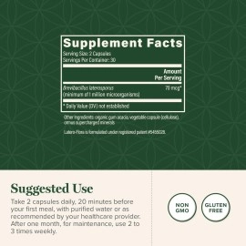 Global Healing Center Latero-Flora, Probiotic Supplement for Men and Women - Non-GMO, Vegan,60 Capsules
