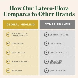 Global Healing Center Latero-Flora, Probiotic Supplement for Men and Women - Non-GMO, Vegan,60 Capsules