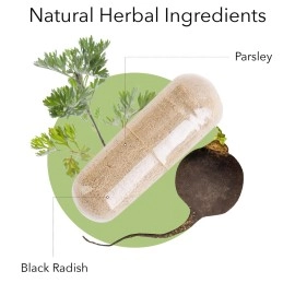 Kroeger Herb Black Radish and Parsley Capsules, 100 Count