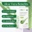 AloeCure USDA Organic Aloe Vera Juice Made Within 12 Hrs of Harvest - Pure Aloe Juice Natural Digestive Supplement to Support Digestion, Immune System and Balanced Stomach Acidity, 4 x 500ml Bottles