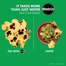 MIRACLE-GRO Watering Can Singles All Purpose Plant Fertilizer (10.24oz)