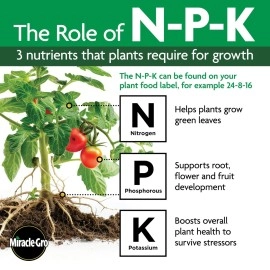 MIRACLE-GRO Watering Can Singles All Purpose Plant Fertilizer (10.24oz)