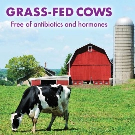 Bluebonnet Nutrition Blue Bonnet Whey Protein Isolate Dietary Supplement Powder, Original, 730 g