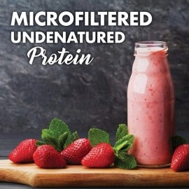 Bluebonnet Nutrition Blue Bonnet Whey Protein Isolate Dietary Supplement Powder, Original, 730 g