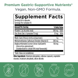 Designs for Health GastroMend HP - Gut Mucosa + Microbial Balance Support Supplement with Mastic Gum, DGL Licorice + \'Vitamin U\' - May Help Occasional Bloating or Upset Stomach (60 Capsules)