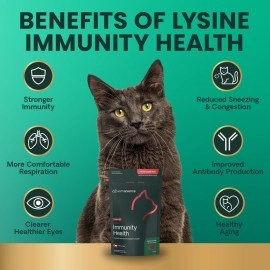 VETRISCIENCE Vetri Lysine Plus DMG Immune Support Treats for Cats and Kittens, 120 Bite Sized Chews
