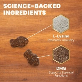 VETRISCIENCE Vetri Lysine Plus DMG Immune Support Treats for Cats and Kittens, 120 Bite Sized Chews