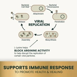 VETRISCIENCE Vetri Lysine Plus DMG Immune Support Treats for Cats and Kittens, 120 Bite Sized Chews