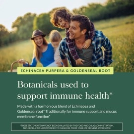 Gaia Herbs Echinacea Goldenseal, Vegan Liquid Capsules, 60 Count - Immune Support & Healthy Inflammatory Response During Seasonal Stress, Organic Echinacea