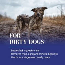 Chris Christensen Clean Start Clarifying Shampoo, 16-ounce