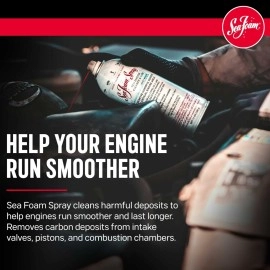 Sea Foam SS14 Cleaner & Lube