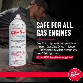 Sea Foam SS14 Cleaner & Lube