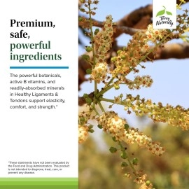 Terry Naturally Healthy Ligaments & Tendons - 60 Capsules