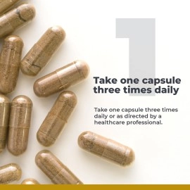 Premier Research Labs RenaVen: Premier Kidney Support for Kidney Cleanse Detox and Repair | Improve Kidney Function and Urinary Support with Fermented Cordyceps - 60 Plant-Source Capsules