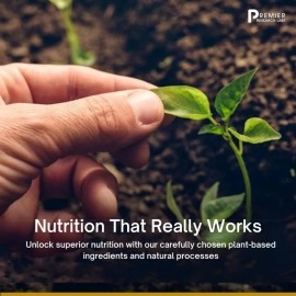 Premier Research Labs HCL - Betaine Hydrochloride Acid Supplement - Supports Digestion - Vegan, Gluten-Free, Kosher - 90 Plant-Source Capsules (Pack of 1)