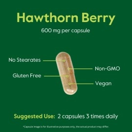 Bestvite Hawthorn Berry 600mg per Capsule (240 Vegetarian Capsules) - No Stearates - No Fillers - Vegan - Non GMO - Gluten Free