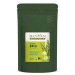 Banyan Botanicals Amalaki (Amla) Powder, 1/2 Pound - USDA Organic - Emblica officinalis - Ayurvedic Antioxidant for Hair, Skin, Digestion*