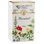 CELEBRATION HERBALS Horsetail Tea Organic 24 Bag, 0.02 Pound
