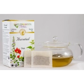 CELEBRATION HERBALS Horsetail Tea Organic 24 Bag, 0.02 Pound