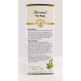 CELEBRATION HERBALS Horsetail Tea Organic 24 Bag, 0.02 Pound
